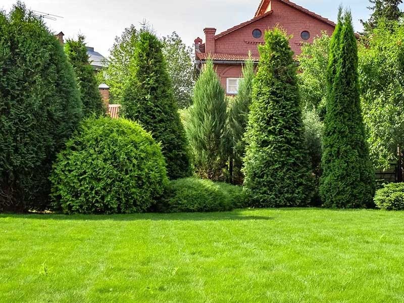 Aménagement du terrain autour de la maison - propositions, inspirations, conseils