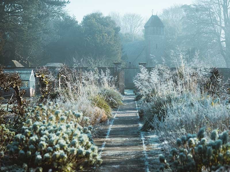 L'hiver au jardin ne doit pas être une saison perdue.  Que faire en hiver au jardin ? 