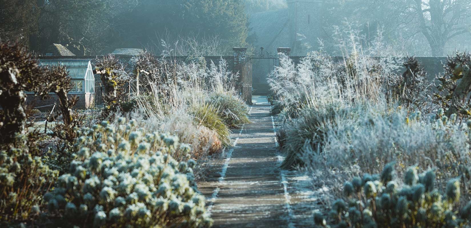 L'hiver au jardin ne doit pas être une saison perdue.  Que faire en hiver au jardin ? 